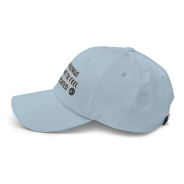 APPRECIATION bb Dad Hat