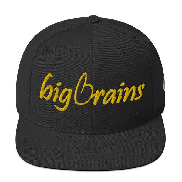 Big Brains Snapback Hat