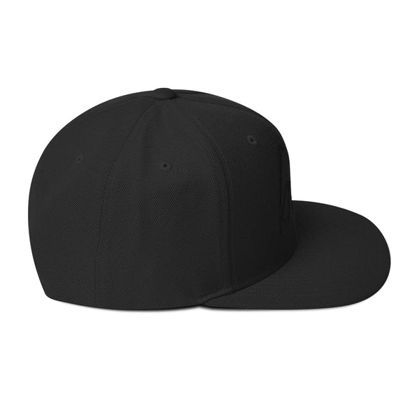 bb 3D Puff Snapback Hat