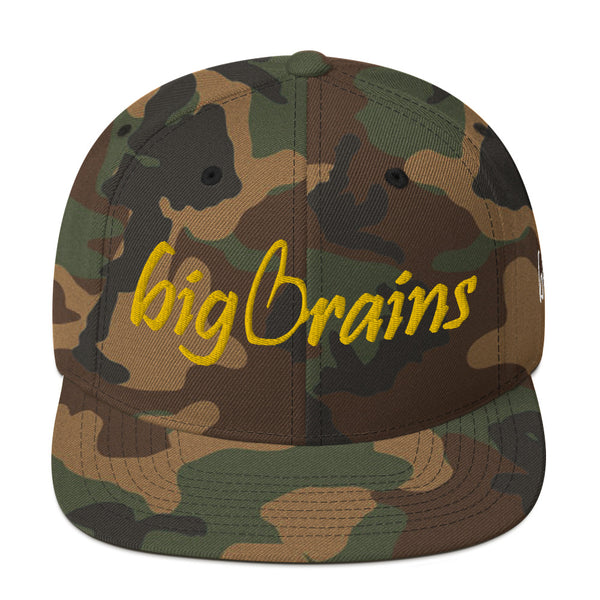 Big Brains Snapback Hat