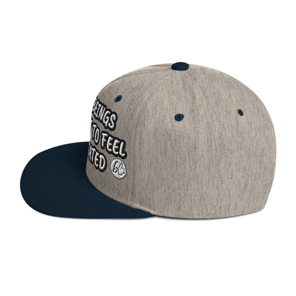 APPRECIATION bb Snapback Hat