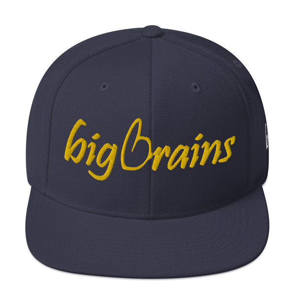 Big Brains Snapback Hat