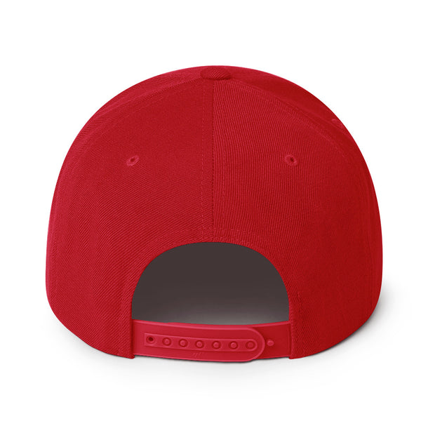 (FOR A BAD HAIR DAY) Snapback Hat