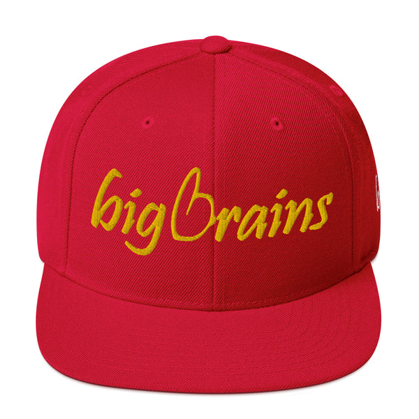 Big Brains Snapback Hat