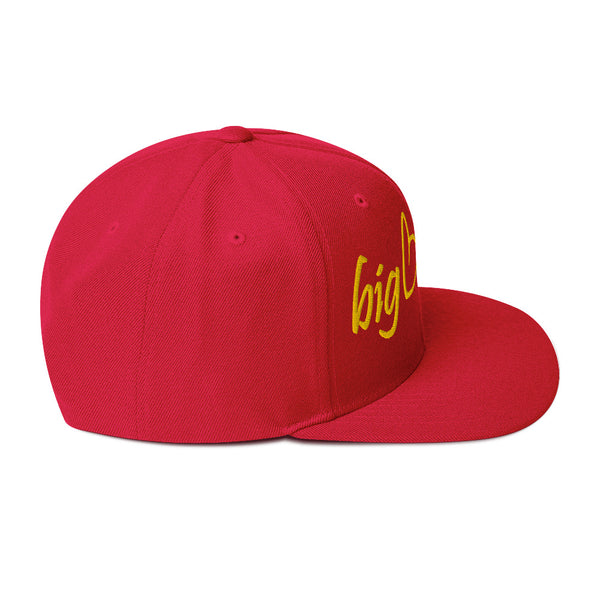 Big Brains Snapback Hat