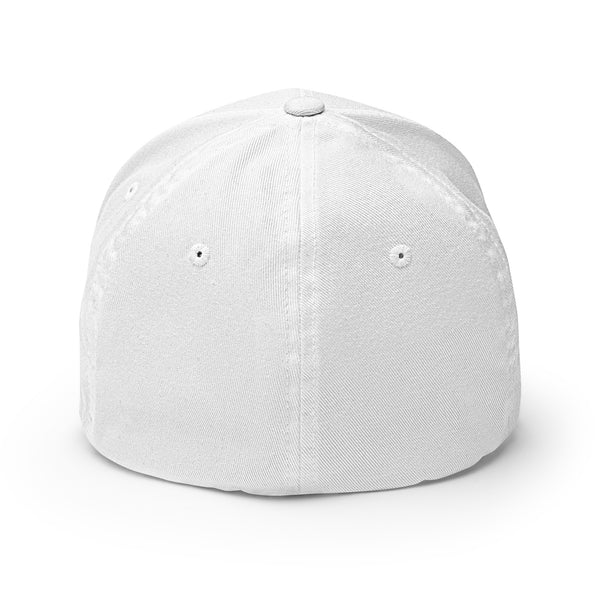 bb THE FUCK YOU BRAND Structured Twill Hat