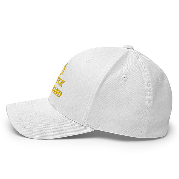 bb THE FUCK YOU BRAND Structured Twill Hat